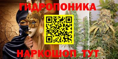 ешки Аргун
