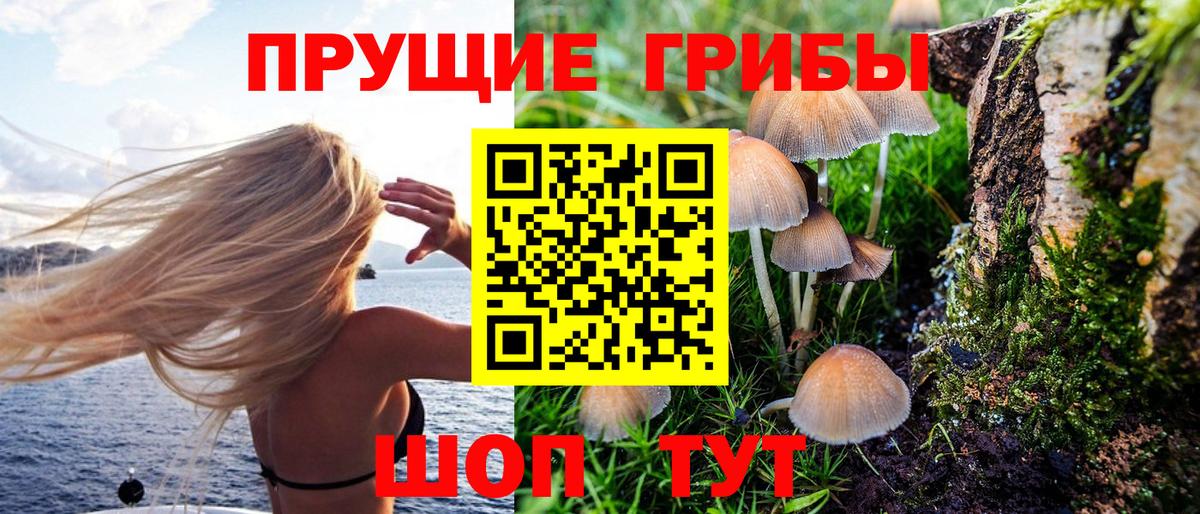 Псилоцибиновые грибы мухоморы Архангельск