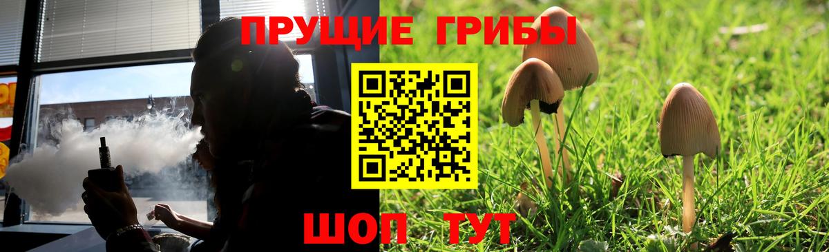 Архангельск  Галлюциногенные грибы MAGIC MUSHROOMS  Вход с VPN 